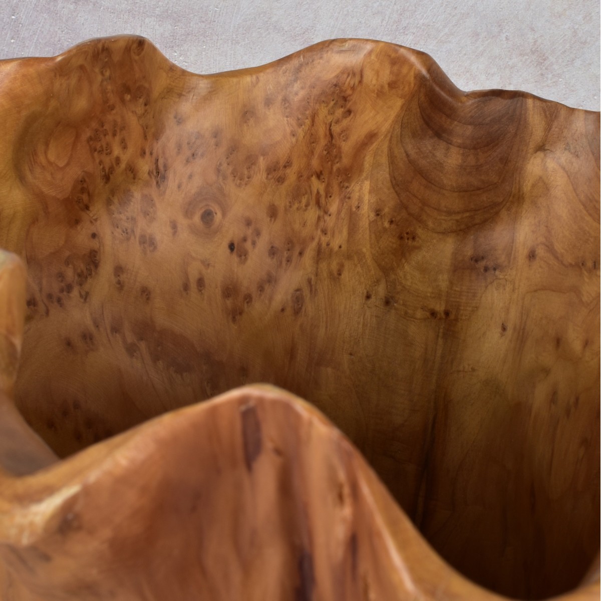 Chinese Burl Root Planter