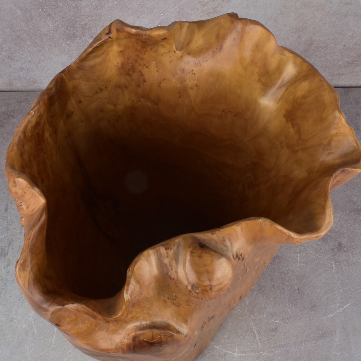 Chinese Burl Root Planter