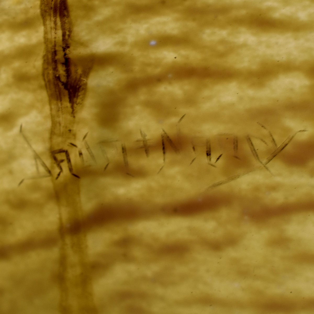 Daum Nancy French Art Nouveau Chandelier