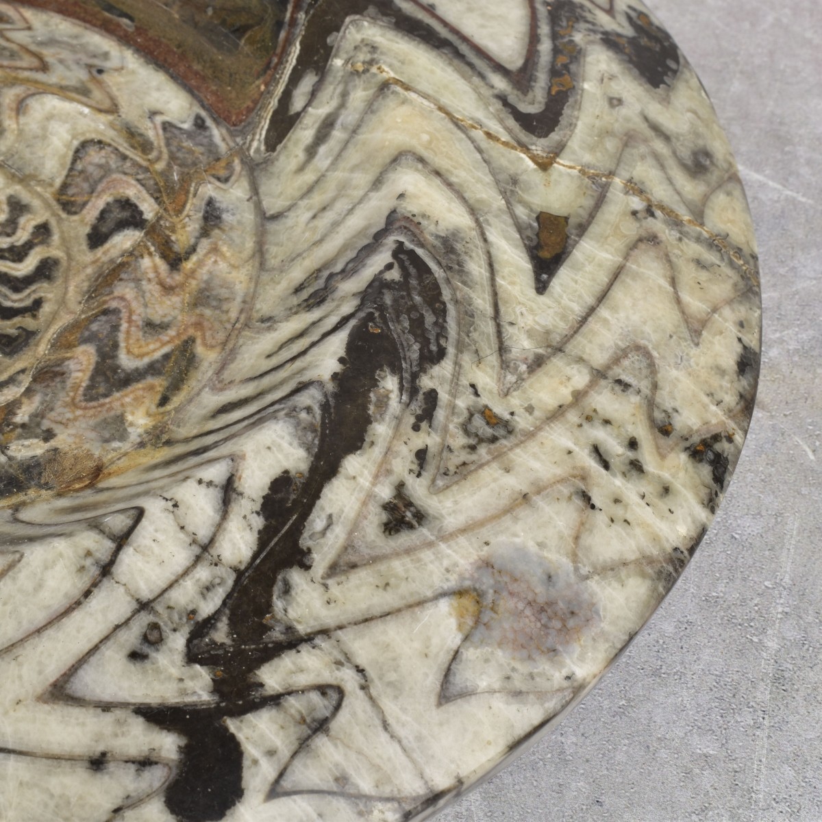 Carved Nautilus Ammonite Fossil Stone