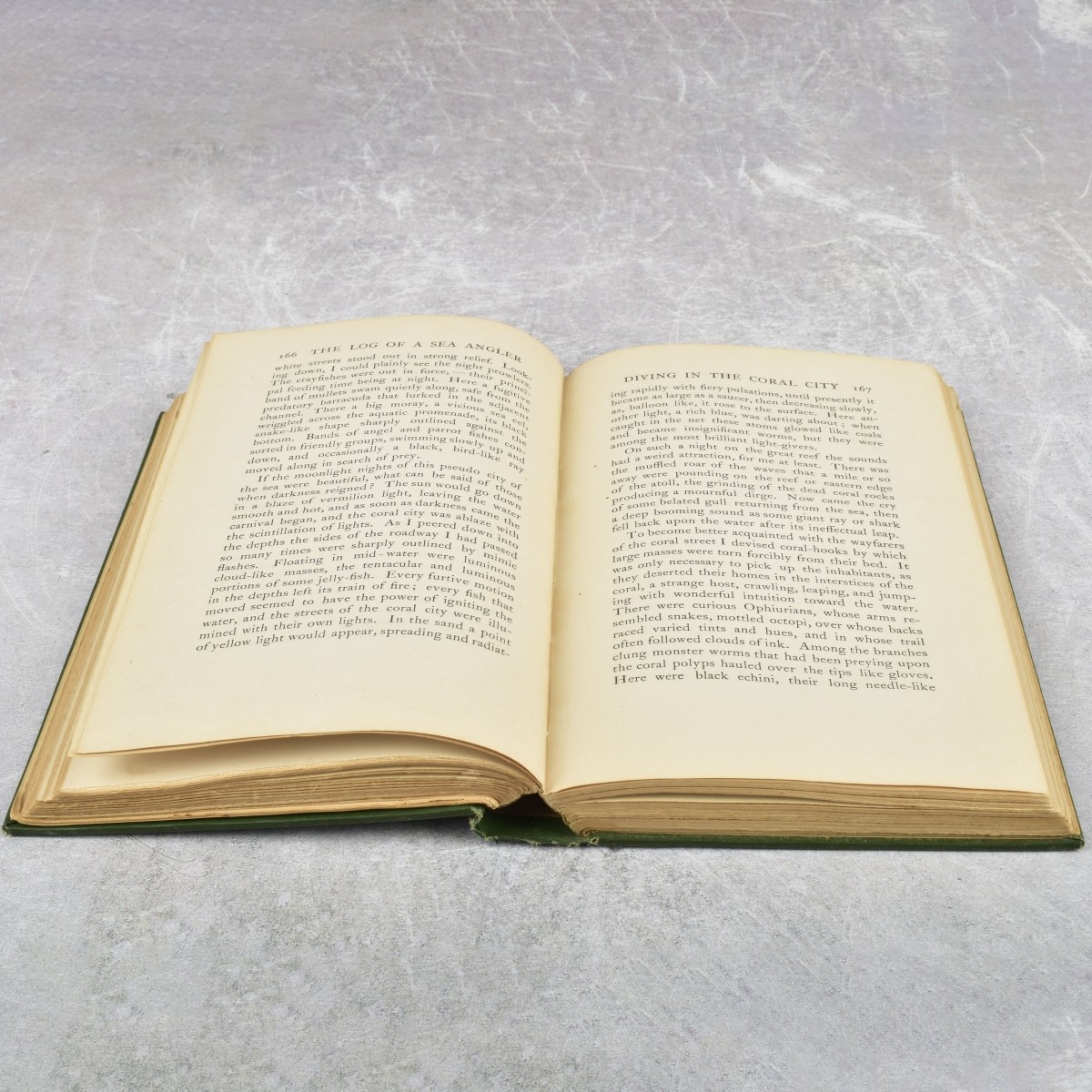 The Log of a Sea Angler by Holder