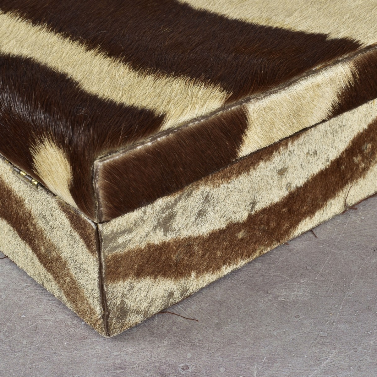Zebra Skin Box and Glasses Case