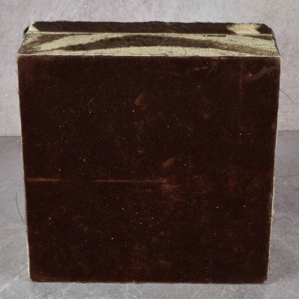 Zebra Skin Box and Glasses Case