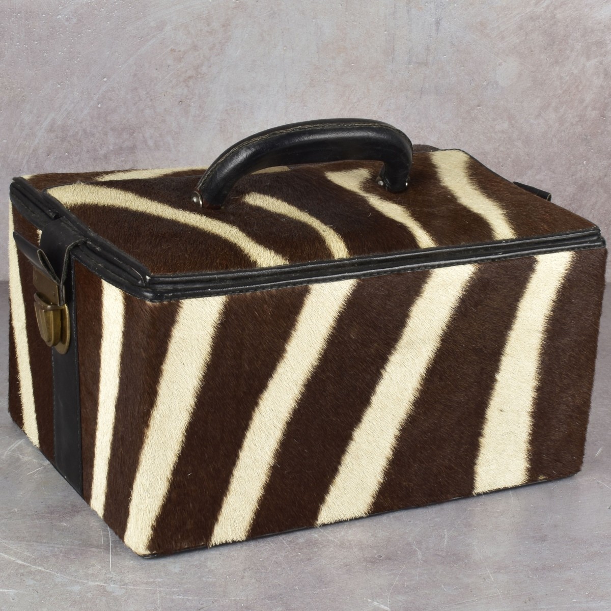 Zebra Skin Travel Case