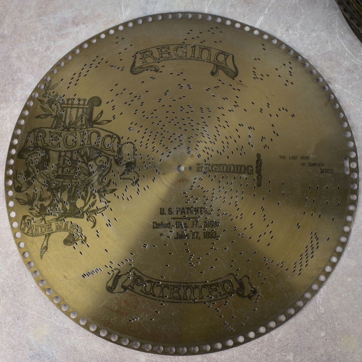 Regina 15-1/2" Metal Disks