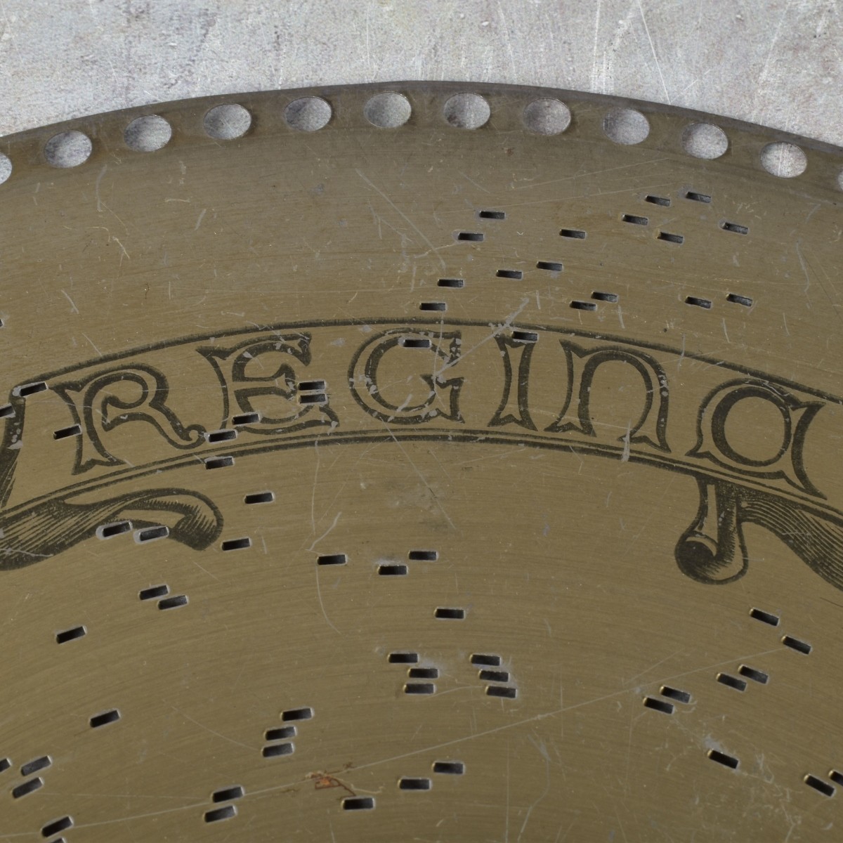 Regina 15-1/2" Metal Disks