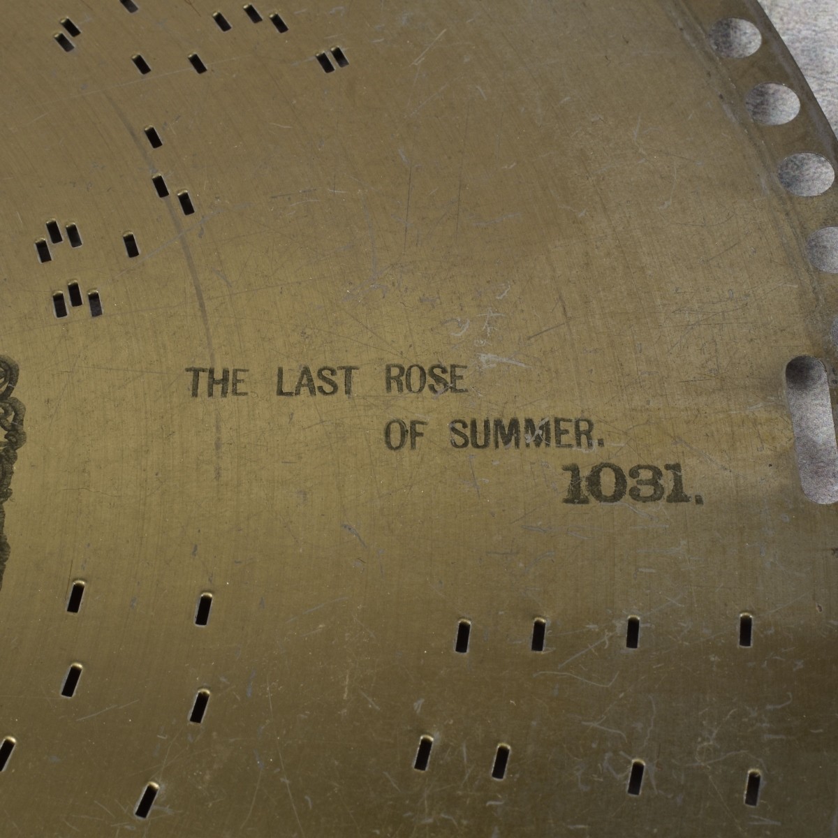 Regina 15-1/2" Metal Disks