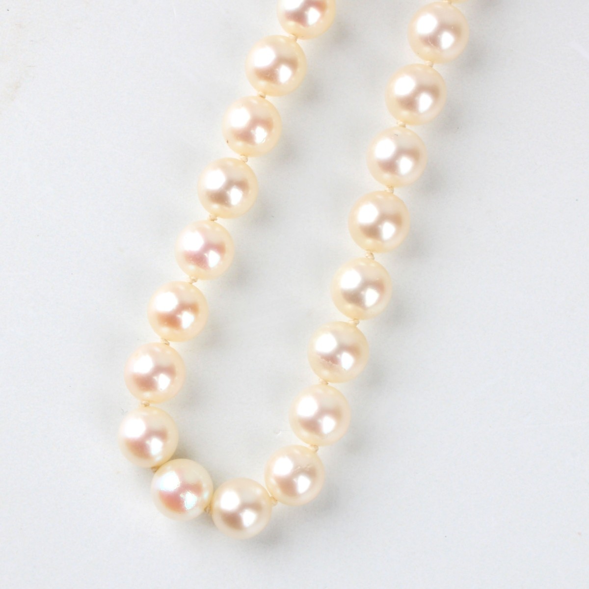 Pearl Necklace