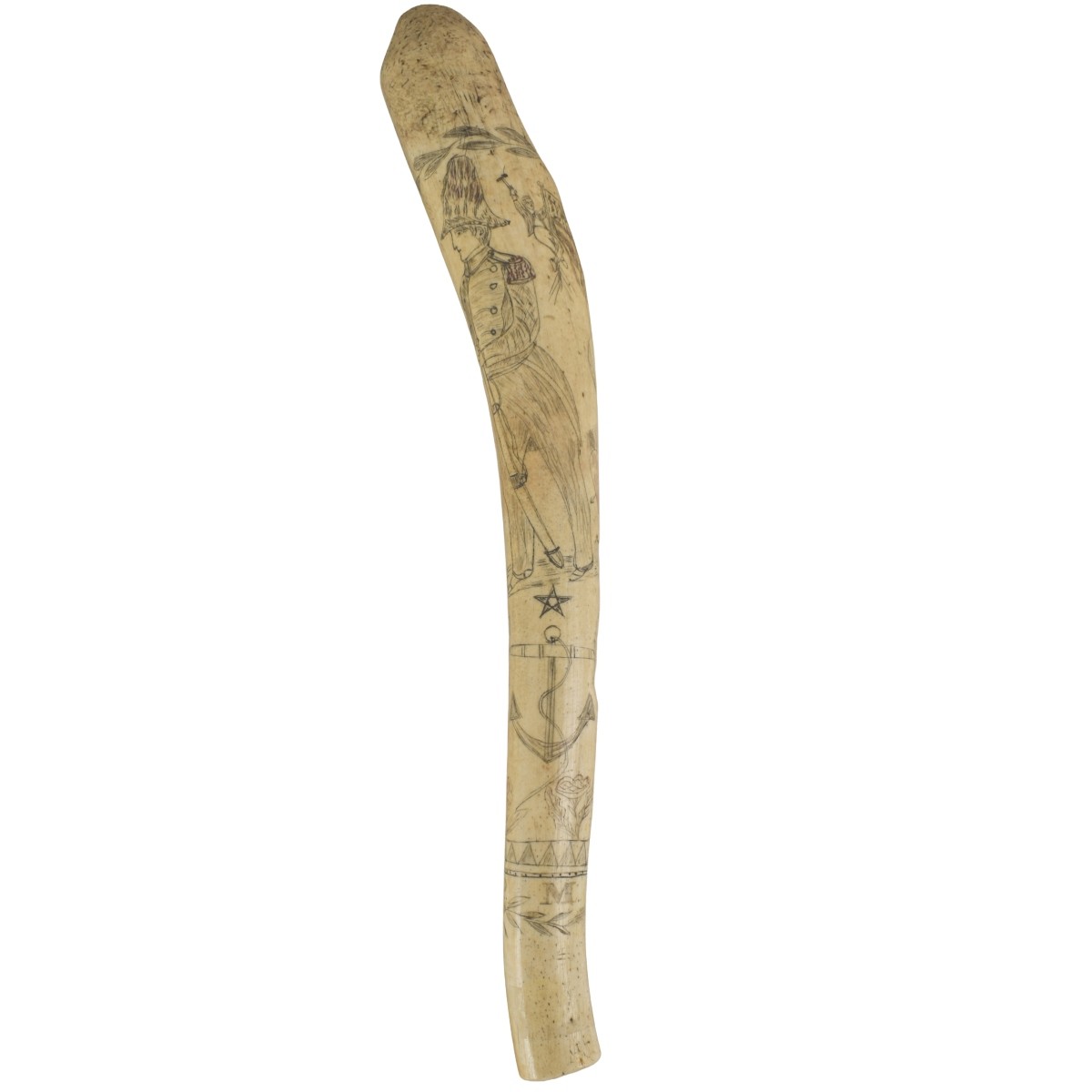 Oosik Walrus Penile Bone Club