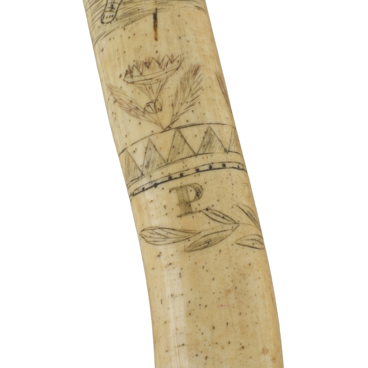 Oosik Walrus Penile Bone Club