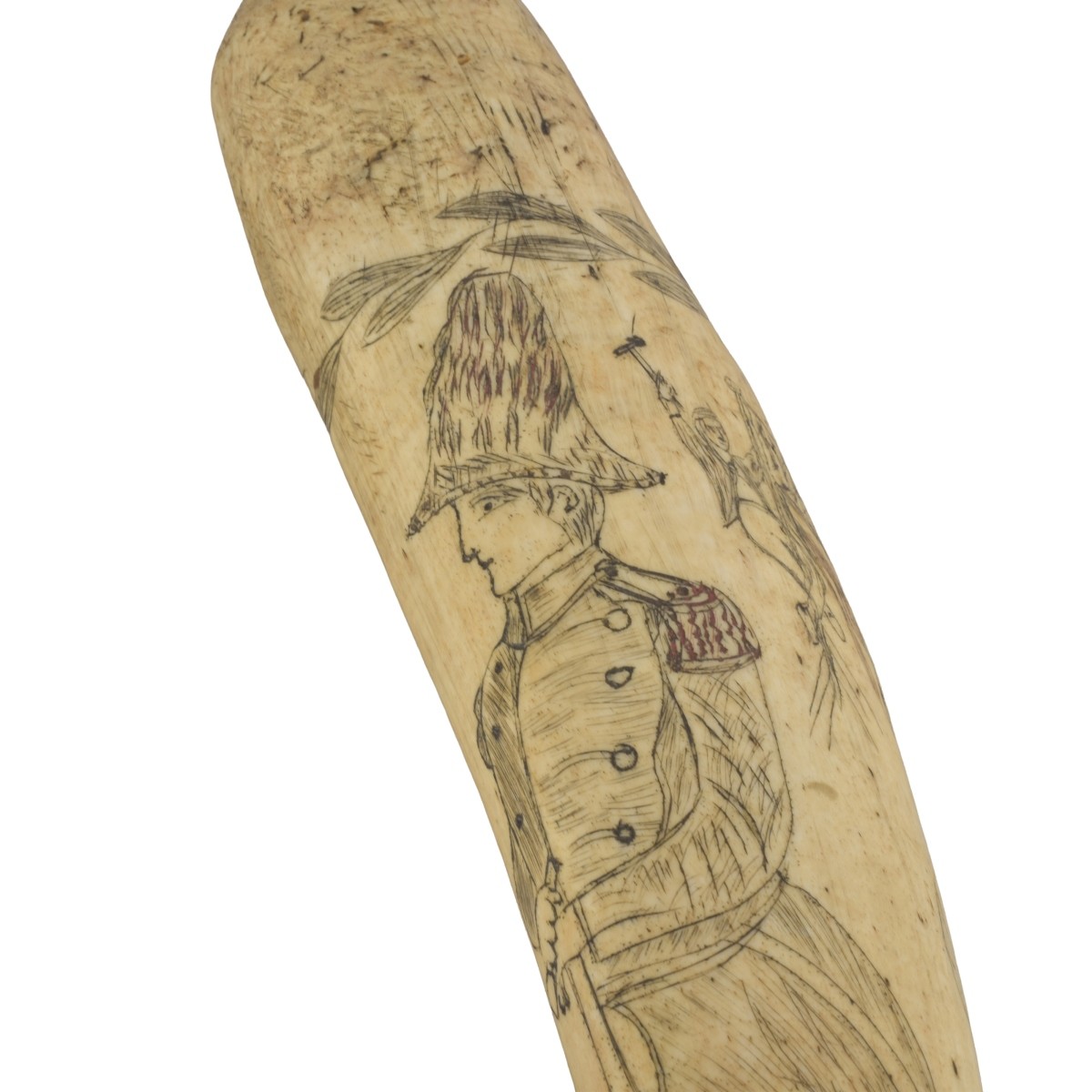 Oosik Walrus Penile Bone Club