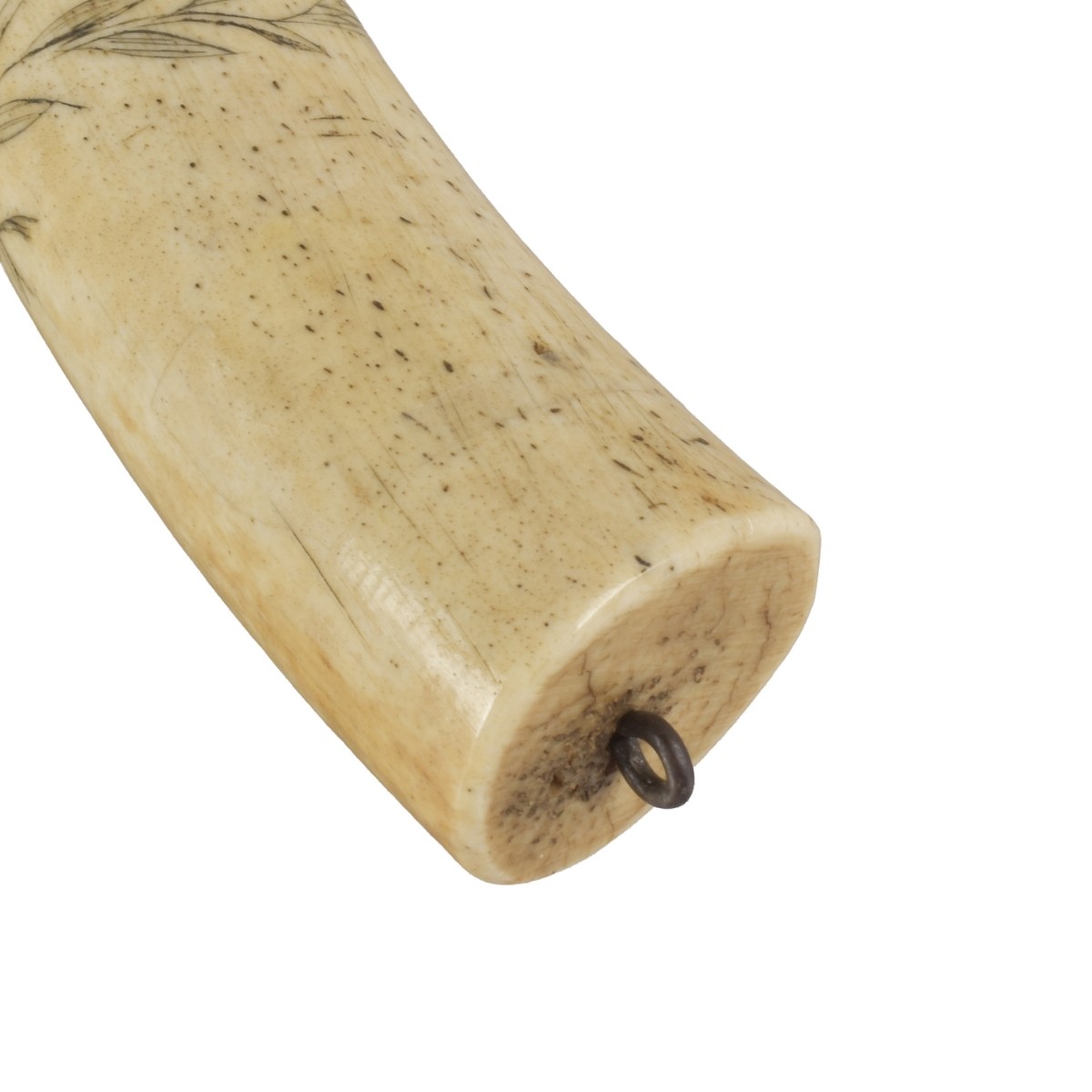 Oosik Walrus Penile Bone Club