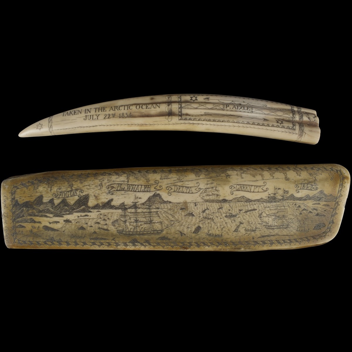 Faux Engraved Scrimshaw