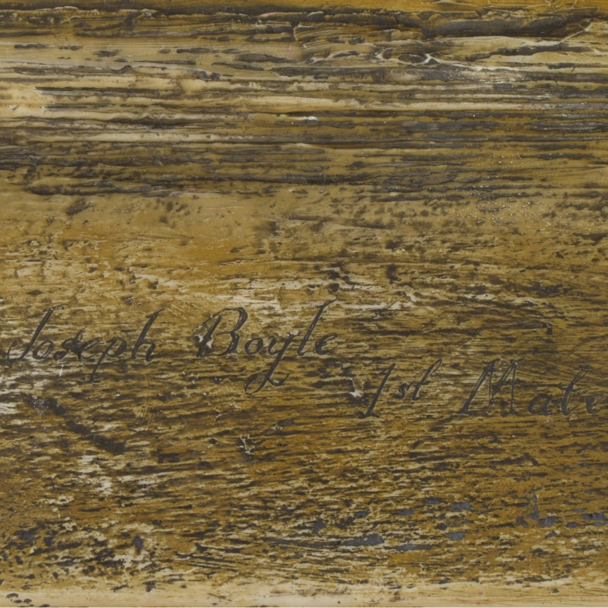 Faux Engraved Scrimshaw