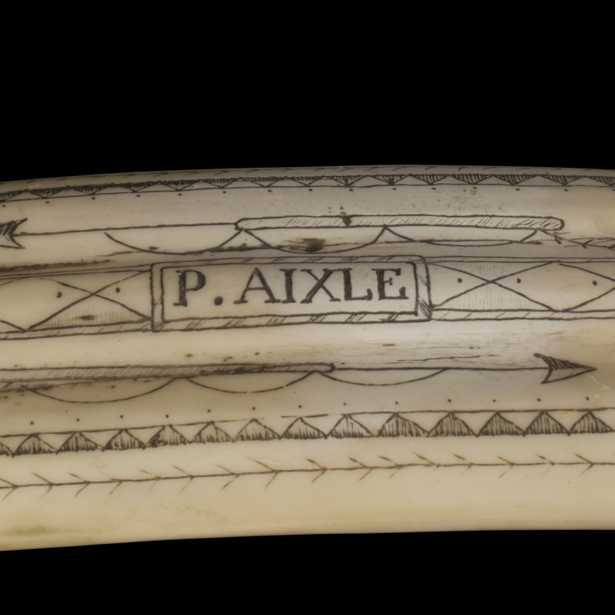 Faux Engraved Scrimshaw