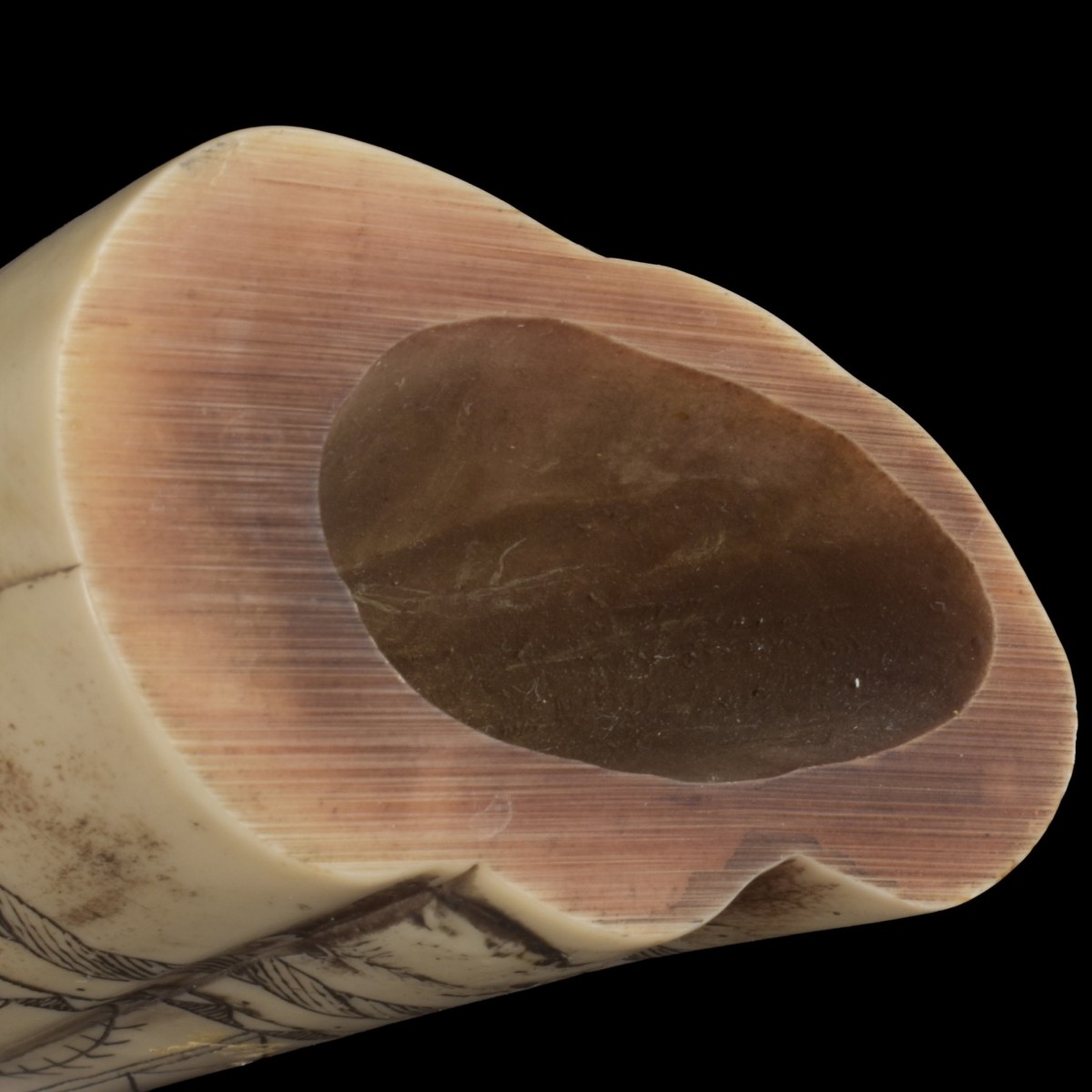 Faux Engraved Scrimshaw