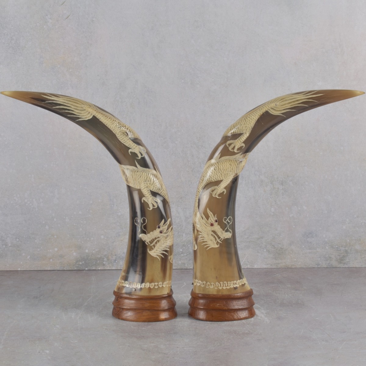 Vintage Carved Buffalo Horns