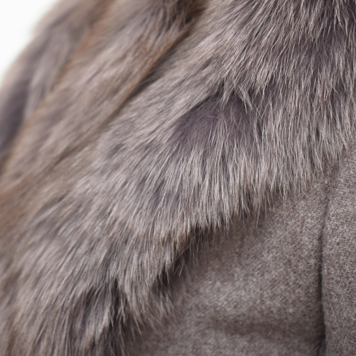 Fur Trimmed Clothing