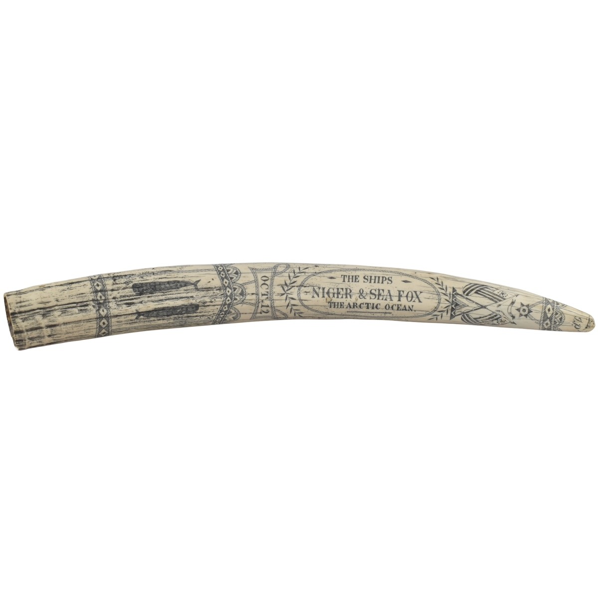 Carved Scrimshaw