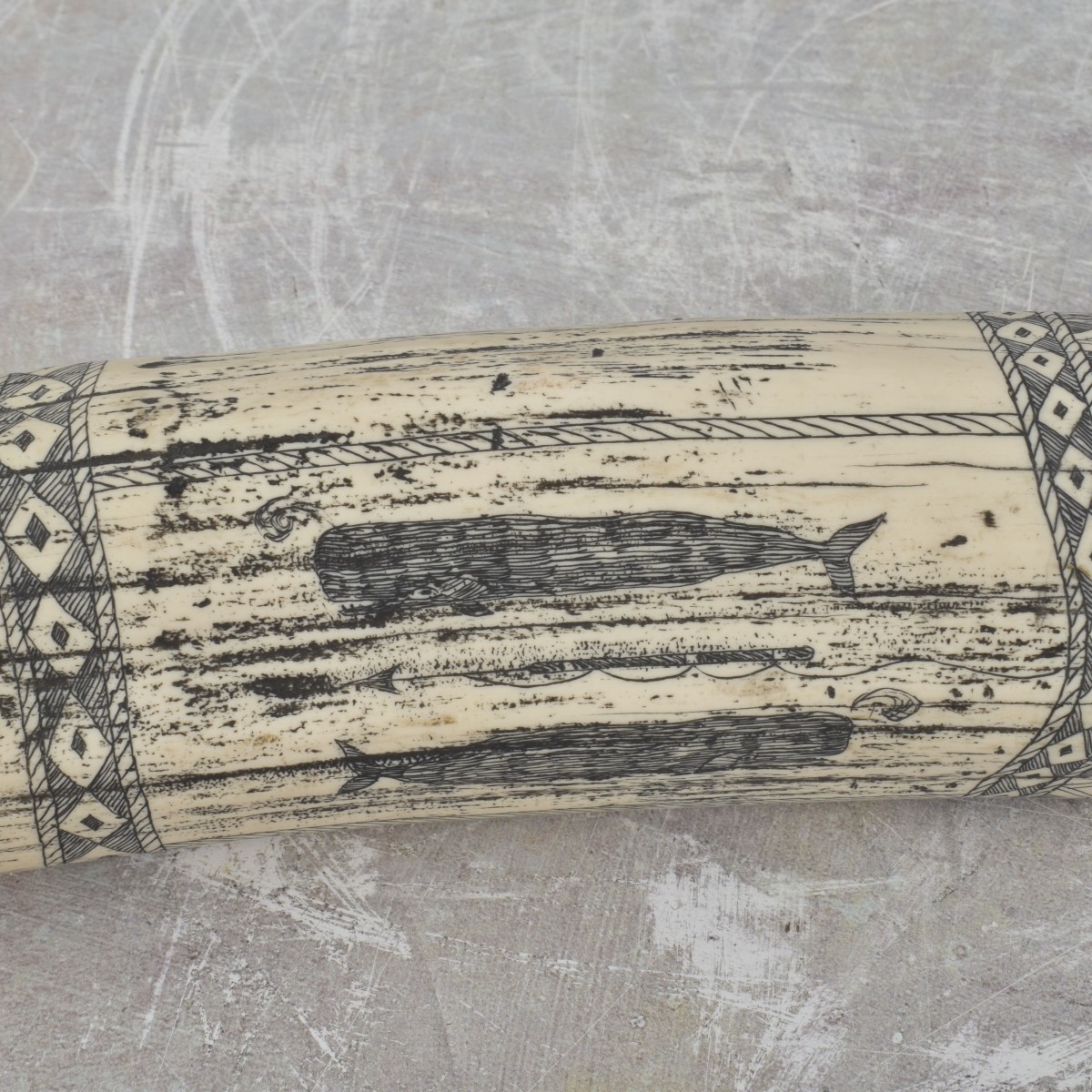 Carved Scrimshaw