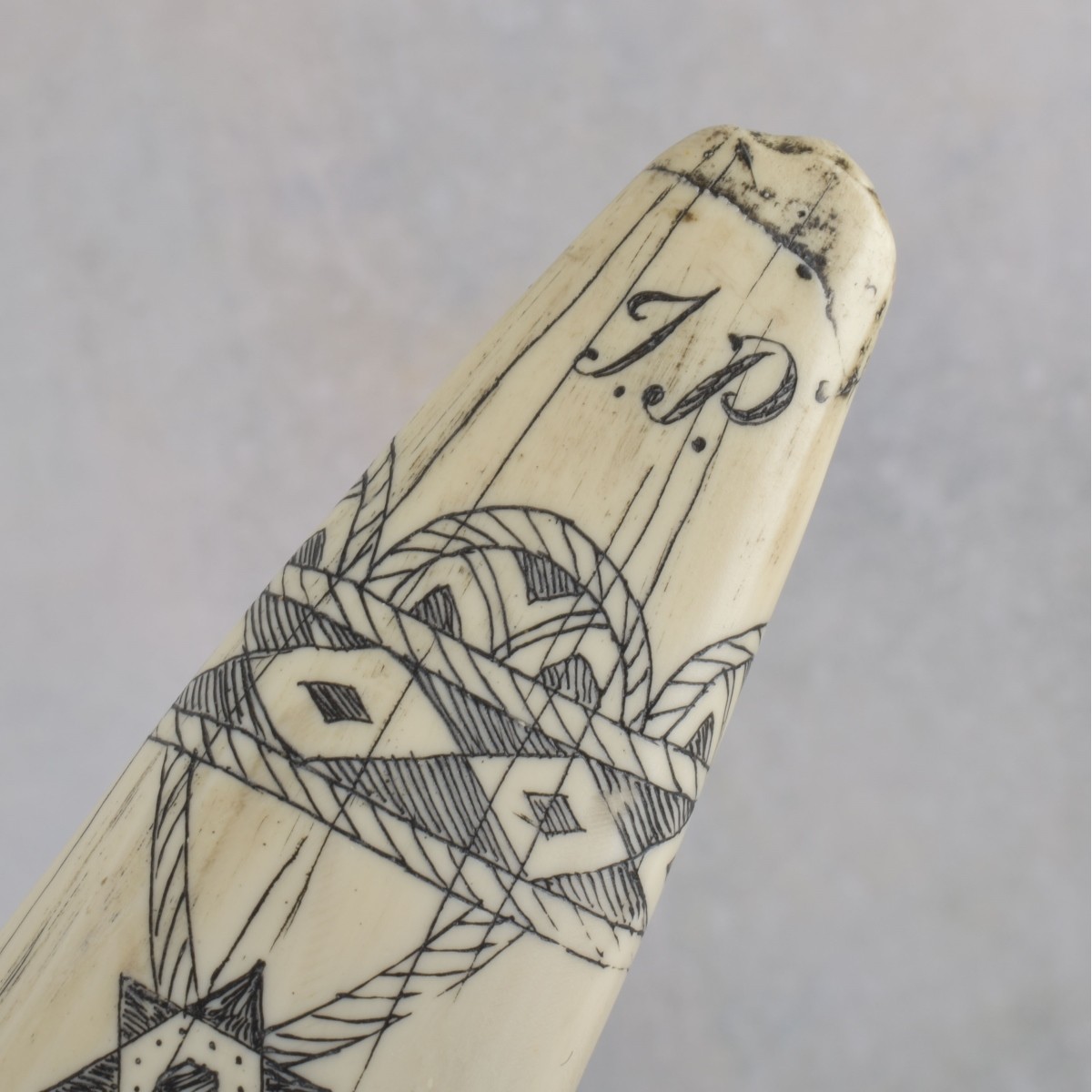 Carved Scrimshaw
