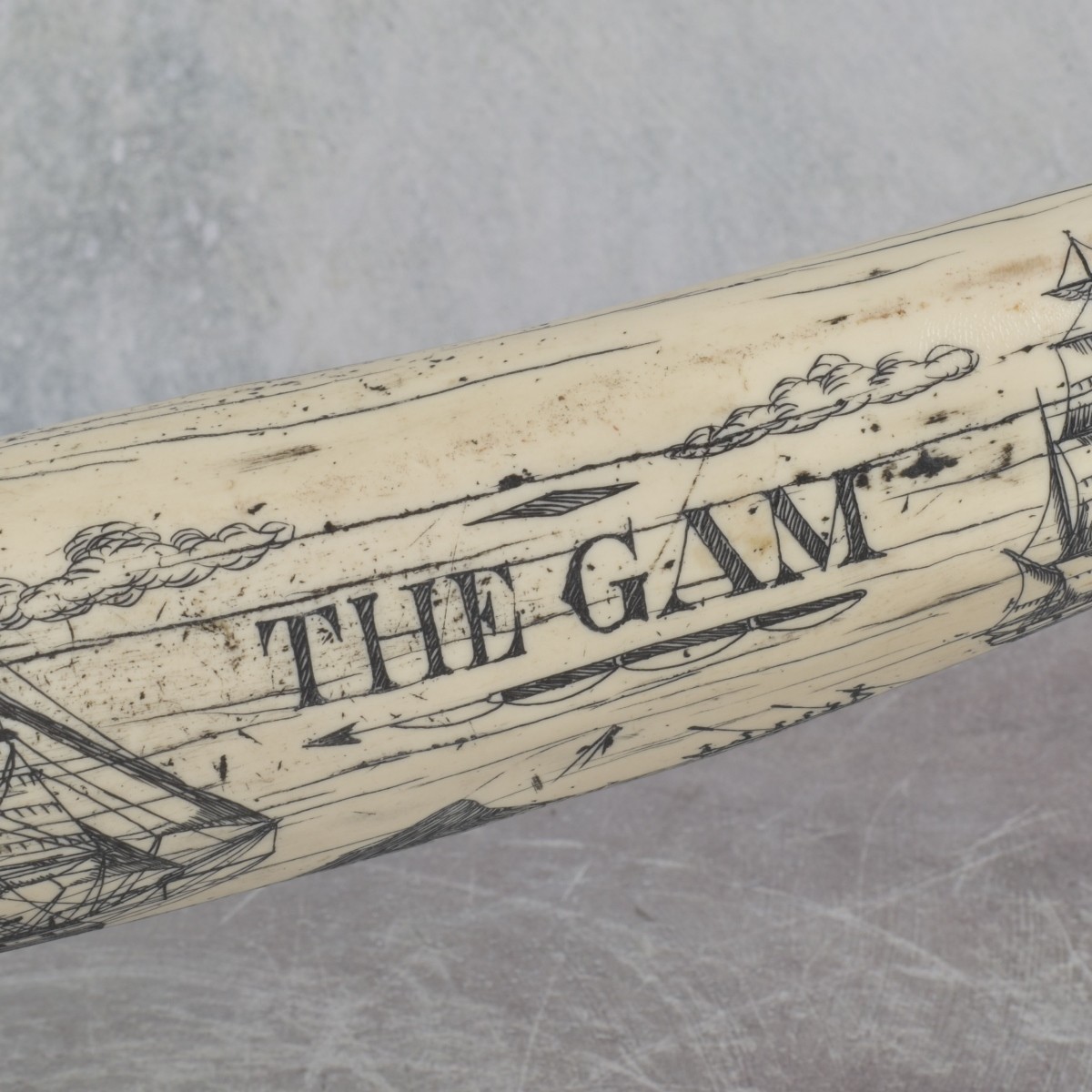Carved Scrimshaw