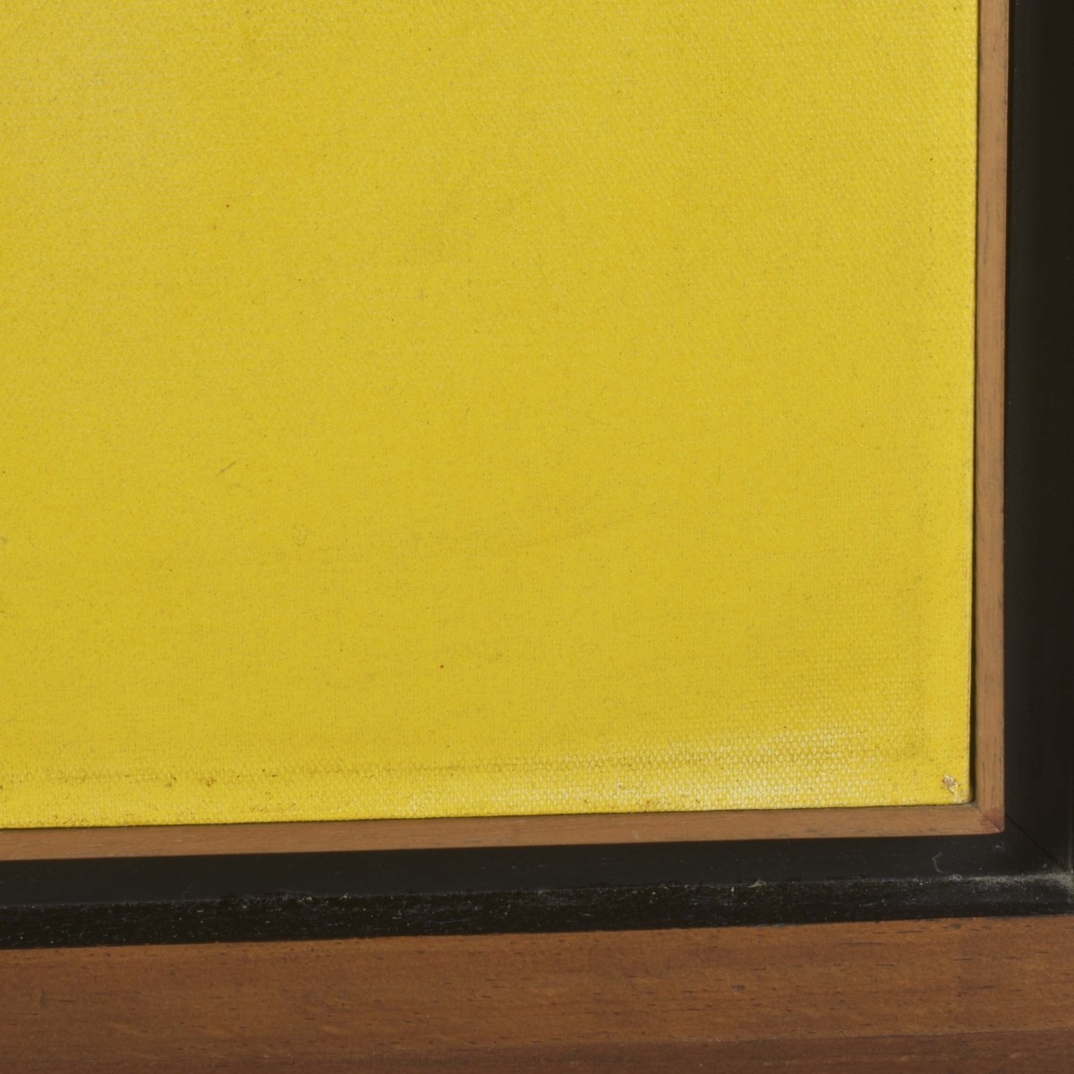 Francisco Hung, Chinese-Venezuelan ( 1937-2001)