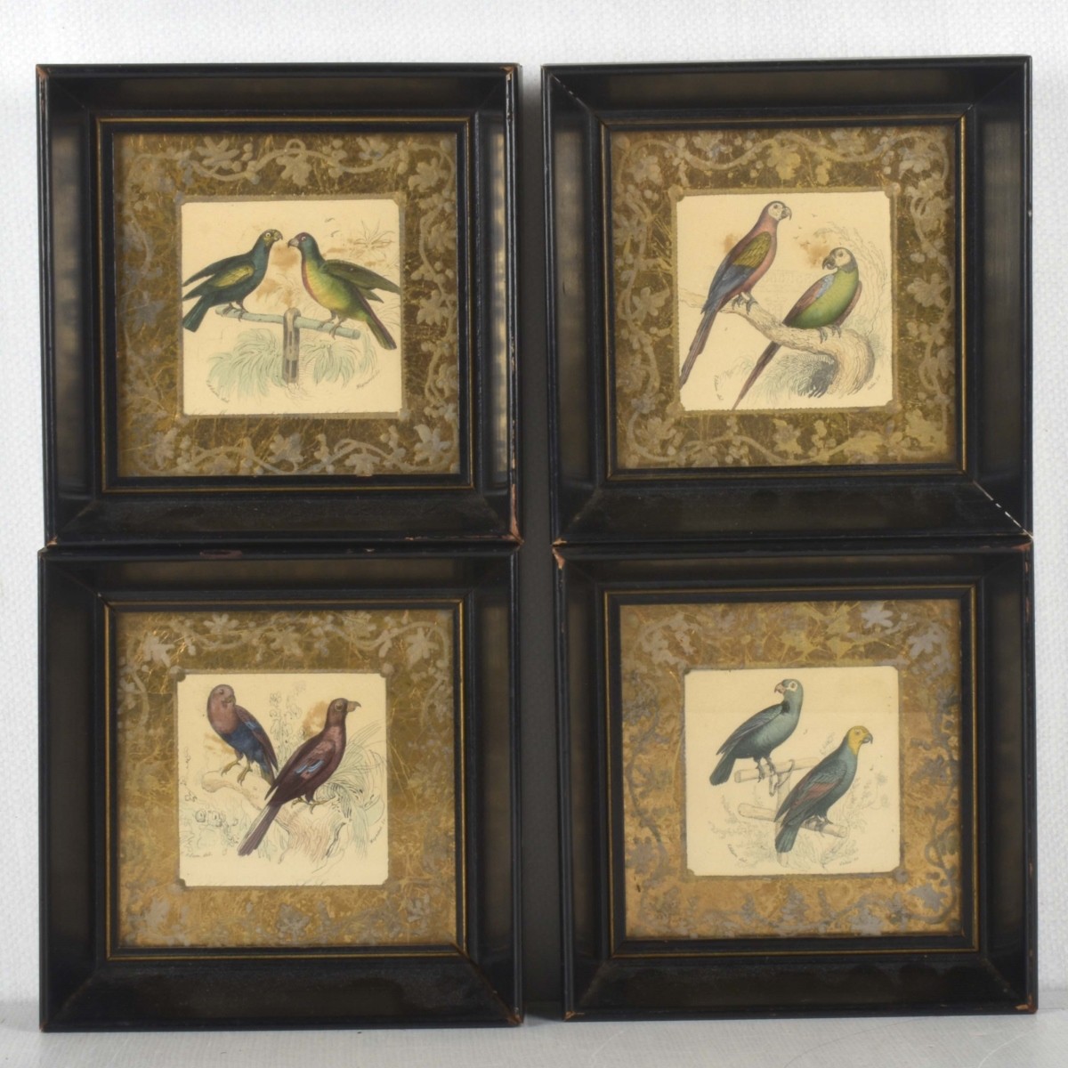 18th Century Framed Bird Lithographs