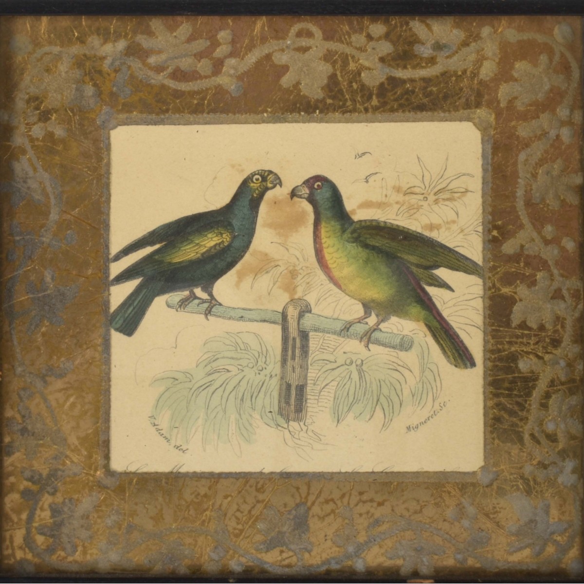 18th Century Framed Bird Lithographs