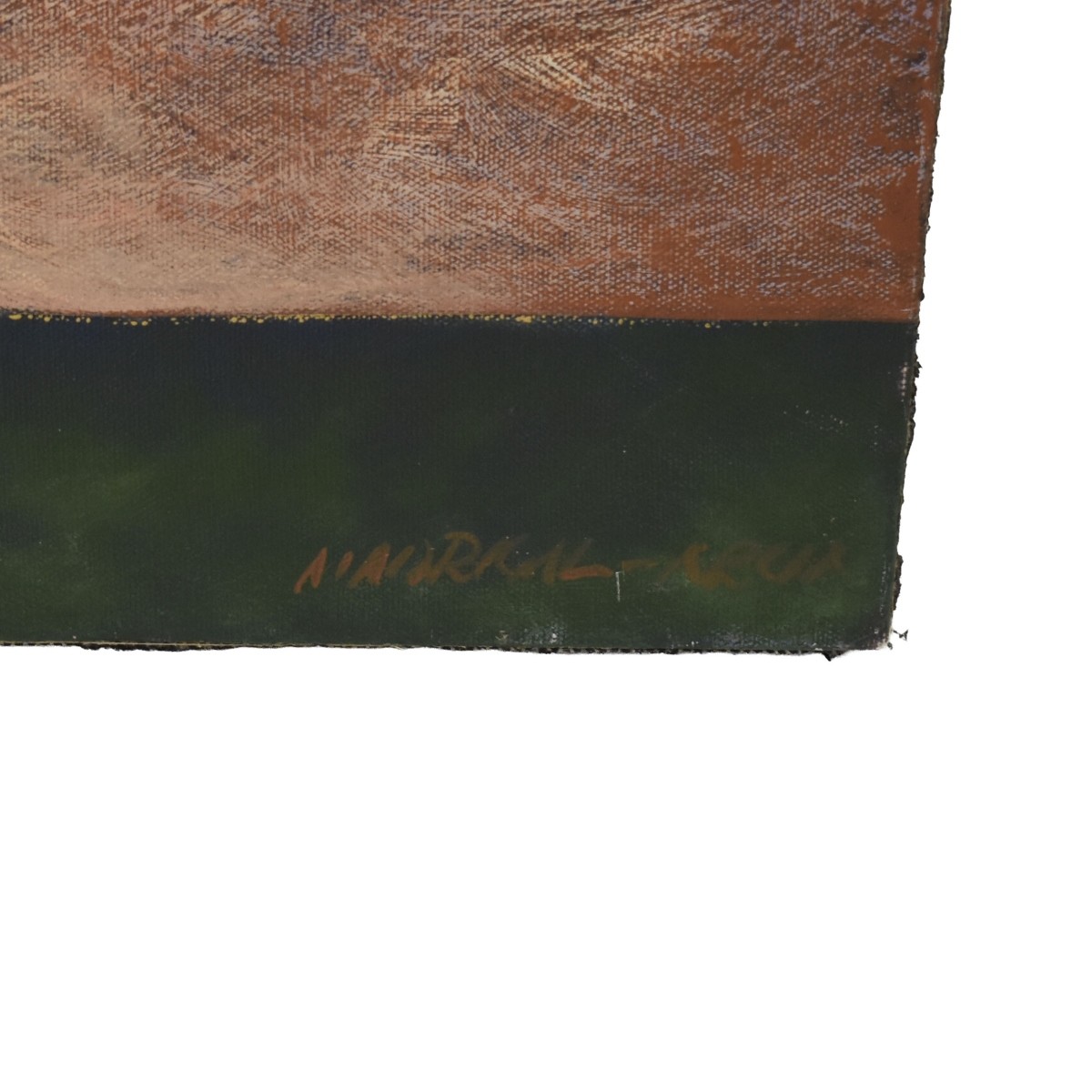 Mario Rene Madrigal Arcia, CR (b. 1957)