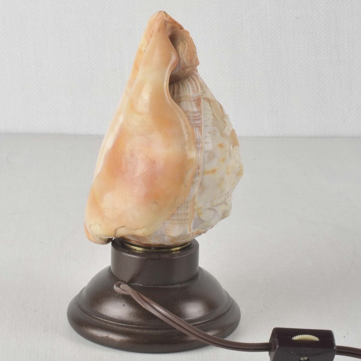 Vintage Carved Conch Shell Night Light