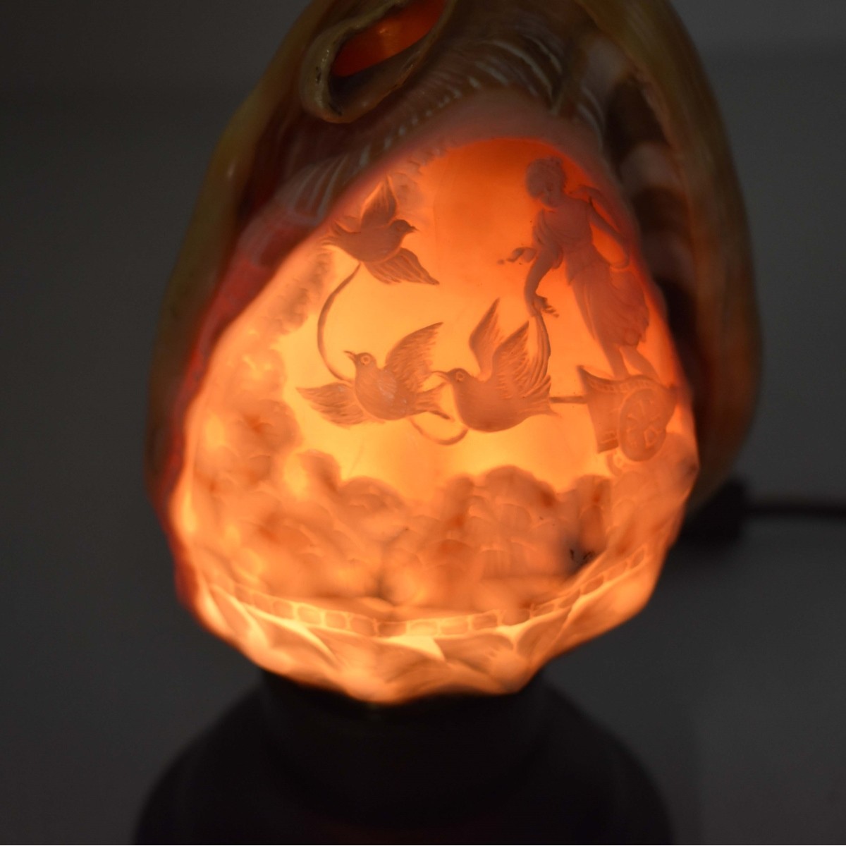 Vintage Carved Conch Shell Night Light