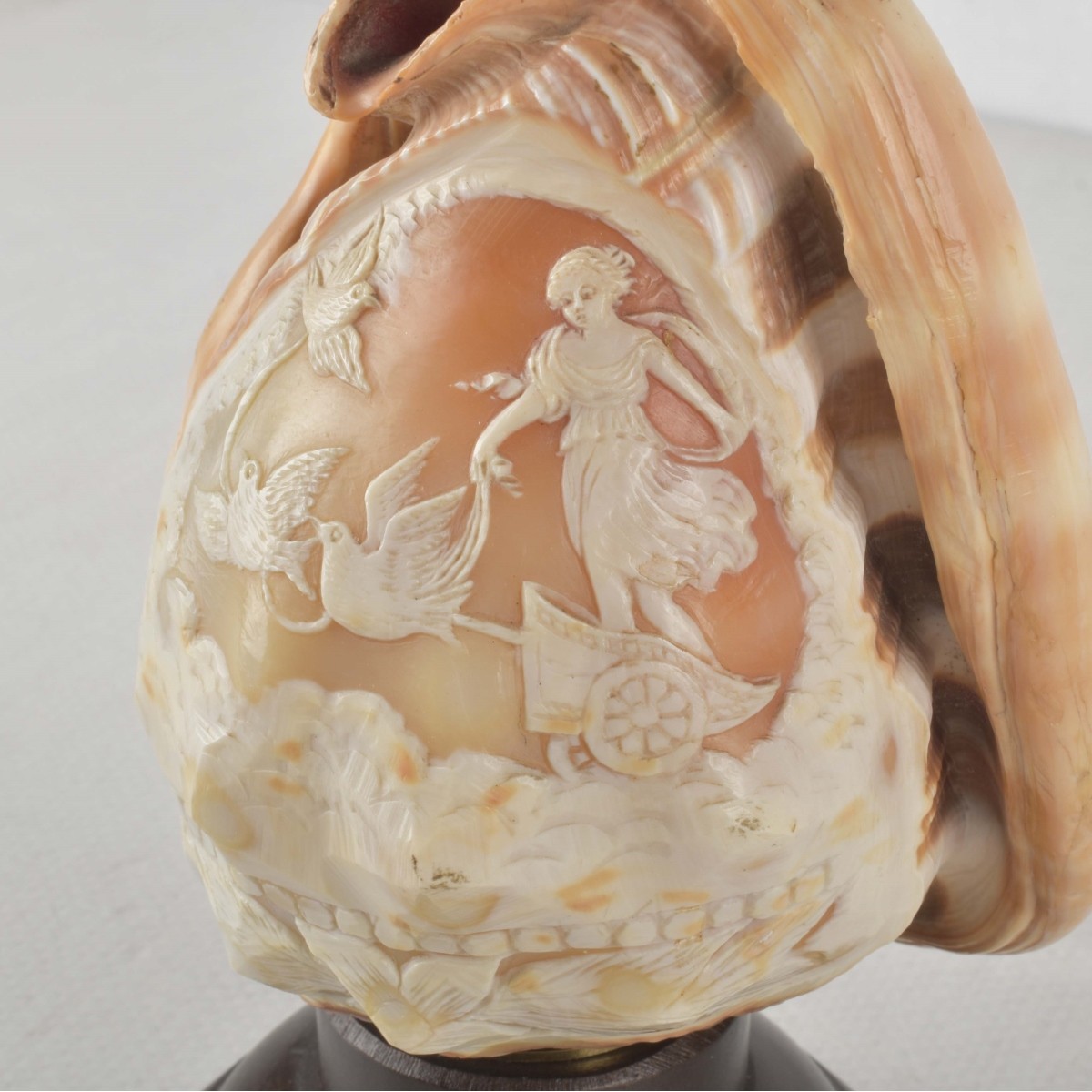 Vintage Carved Conch Shell Night Light