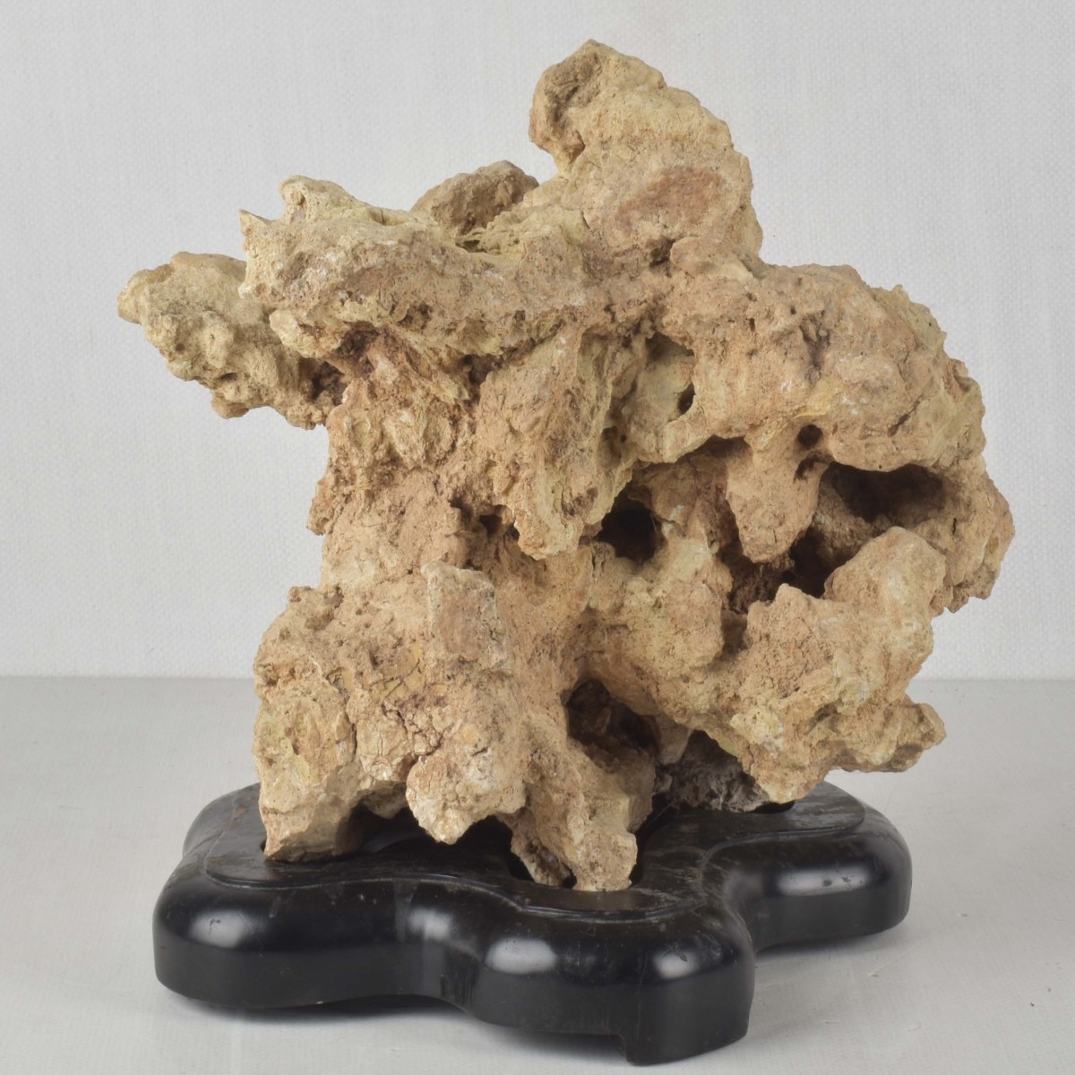 Chinese Scholar Rock