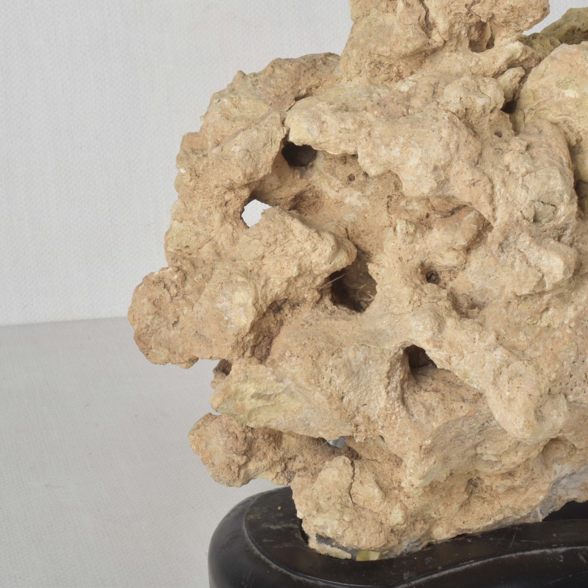 Chinese Scholar Rock