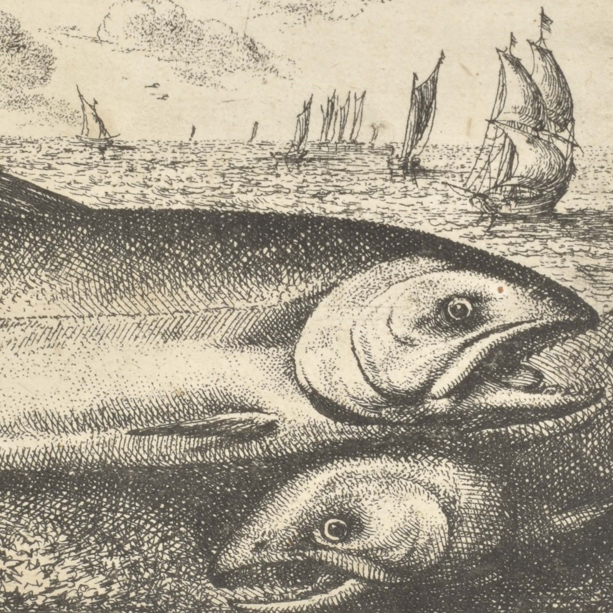 Albert Flamen, Dutch (1620-1692)