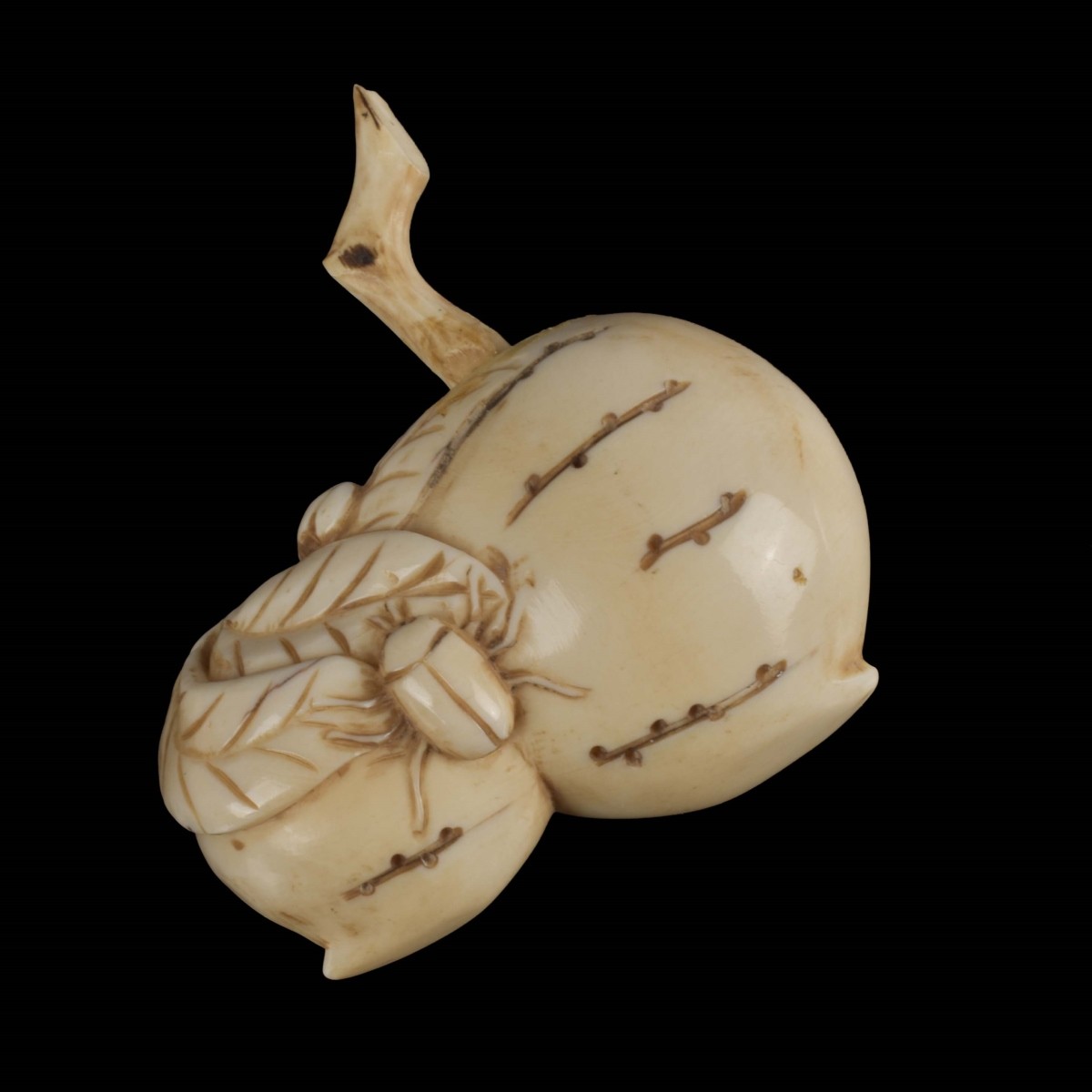 Antique Chinese Snuff Bottles
