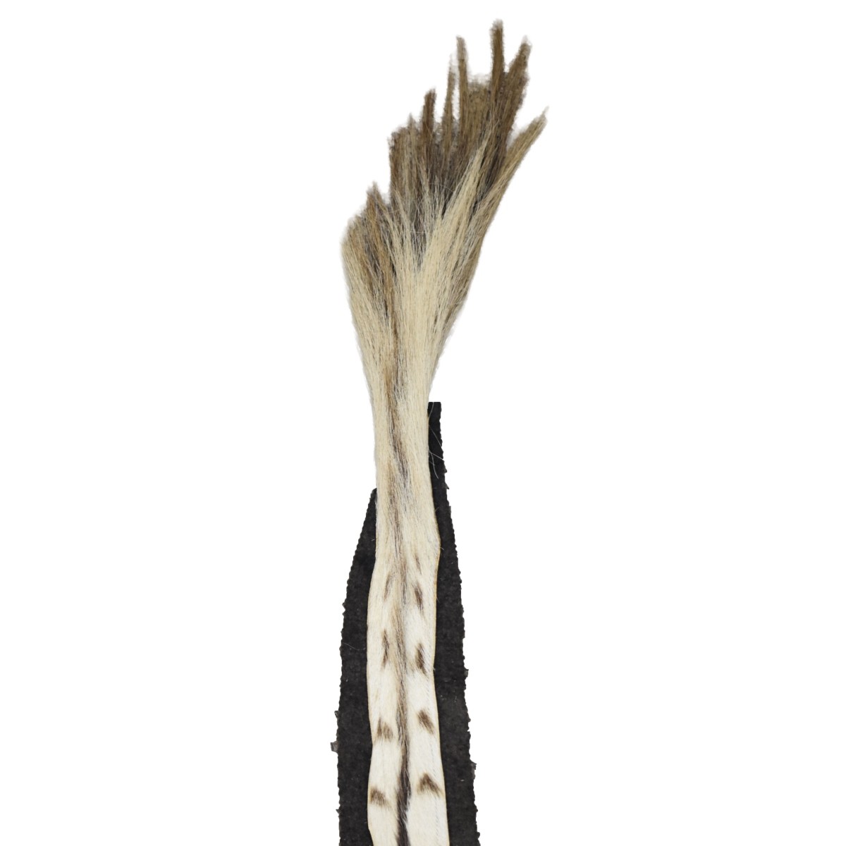 African Zebra Full Skin Rug