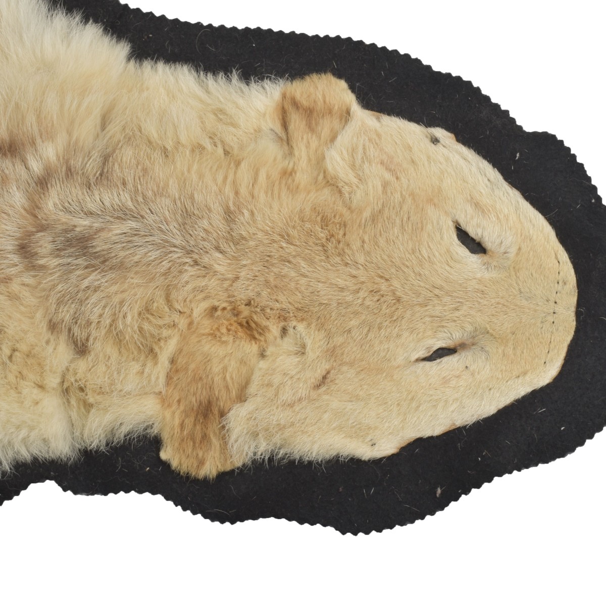 Full Skin Animal Pelt