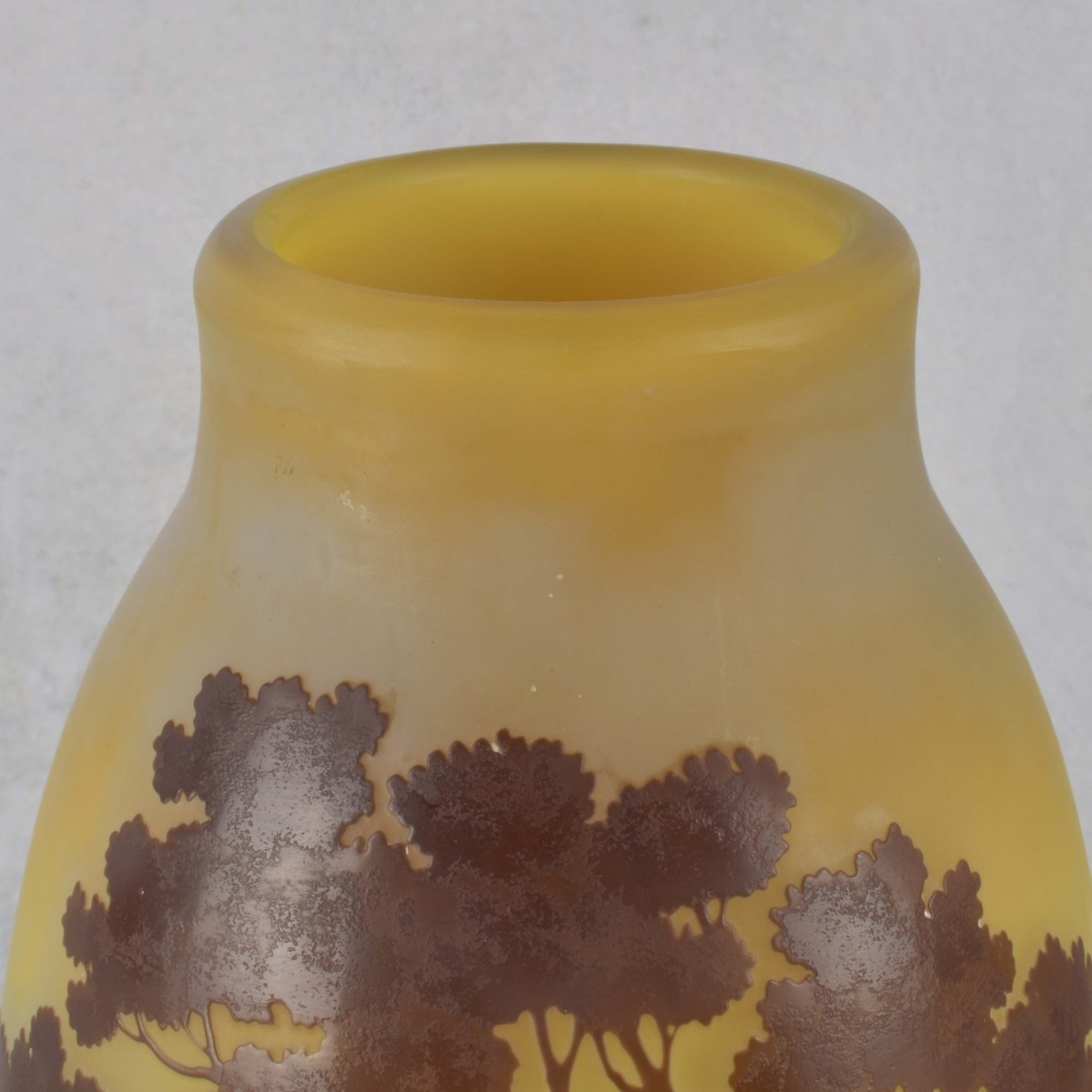 Galle French Cameo Glass Vase