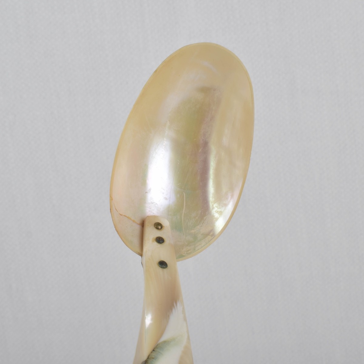 Mother of Pearl Pieces