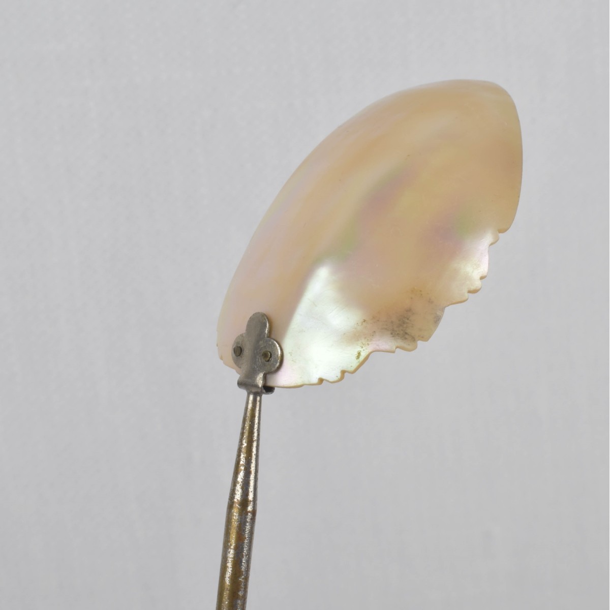 Mother of Pearl Pieces