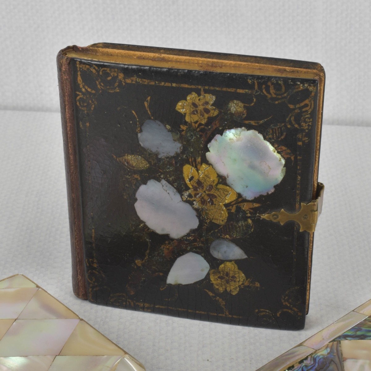 Mother of Pearl Pieces
